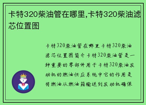 卡特320柴油管在哪里,卡特320柴油滤芯位置图
